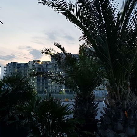 The Horse - De Silva Residence Mamaia Extérieur photo